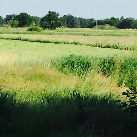 Komfortable In Der Eule Apartment