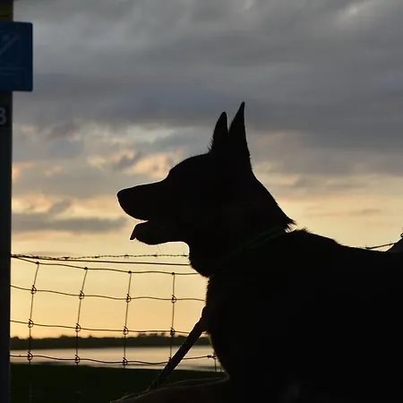 Komfortable In Der Eule Apartment *