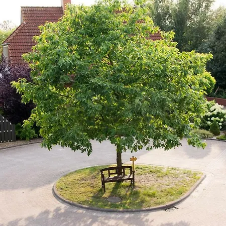 Komfortable In Der Eule Apartmán *