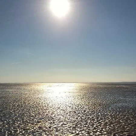 Komfortable In Der Eule *