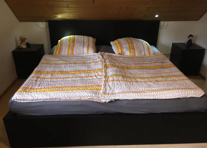 Komfortable In Der Eule *