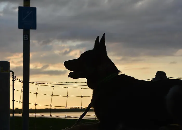 Komfortable In Der Eule 아파트 *