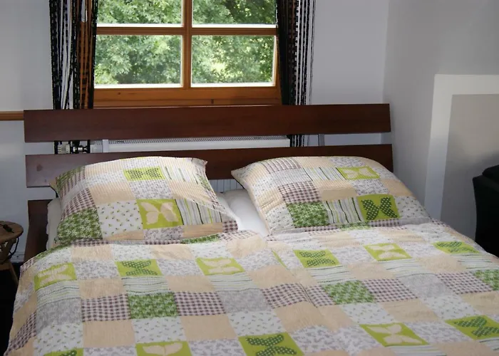 Komfortable In Der Eule *