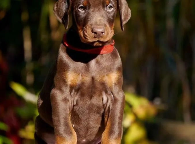 아파트 Komfortable In Der Eule