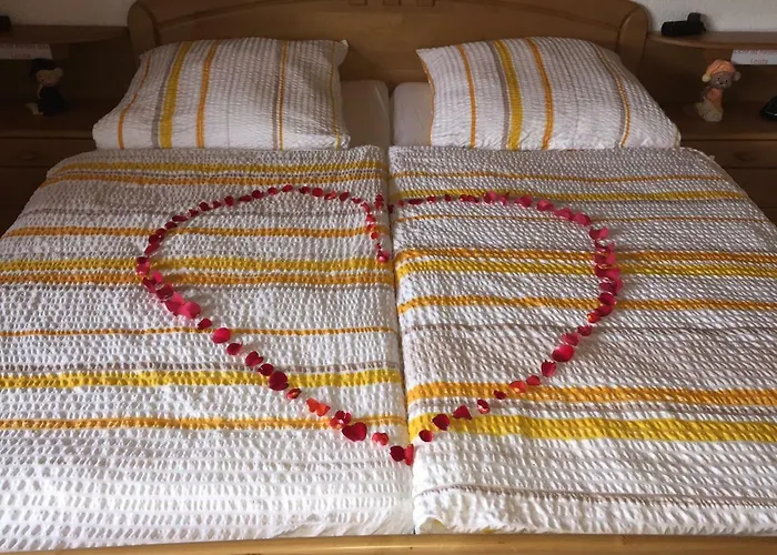 Komfortable In Der Eule *